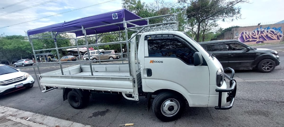 Kia K3000s